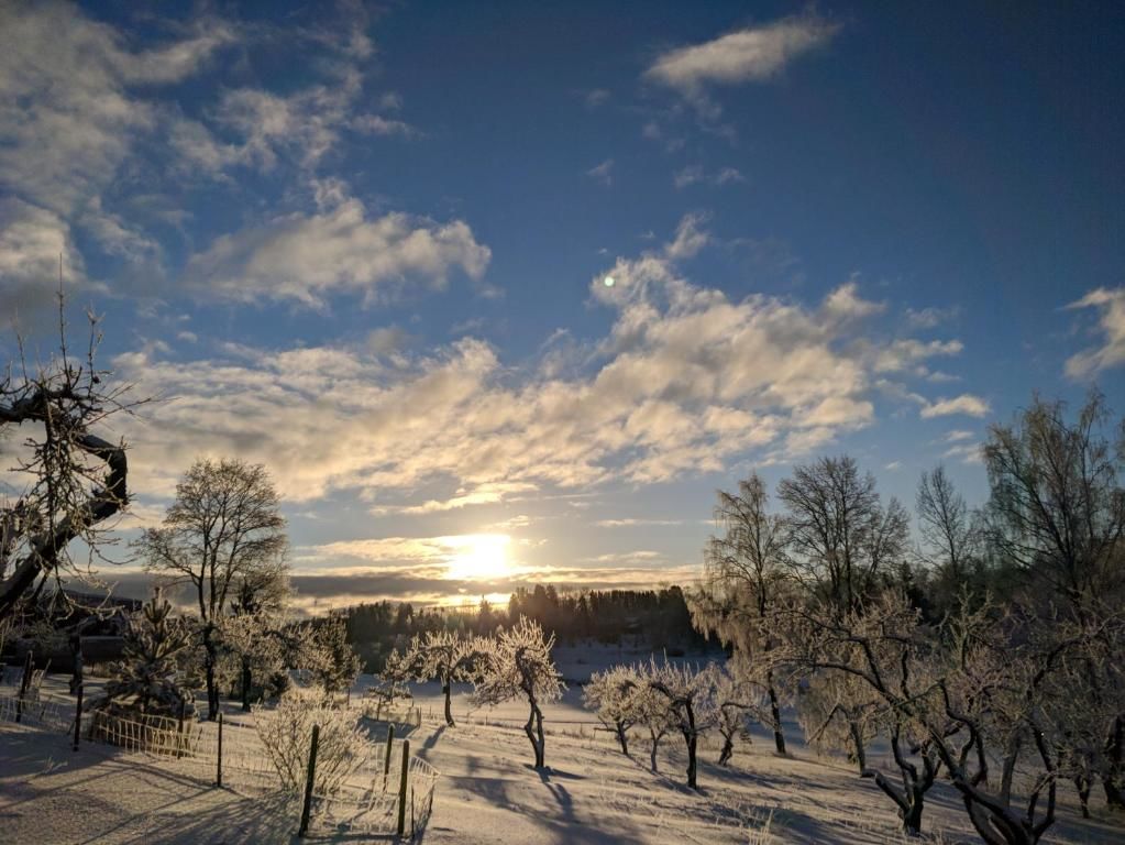 Дома для отпуска Airistola Лохья-29